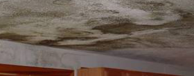 Water and Flood Damage Repair / Restoration