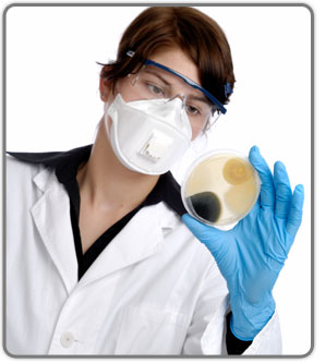 Mold Testing and Its Importance in Gauging the Degree of Health Threat